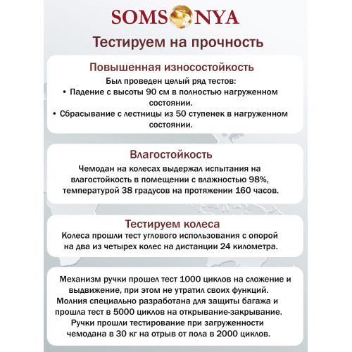 Бьюти кейс ручная кладь SOMSONYA ELITE коричневый