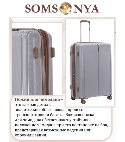 Комплект чемоданов Somsonya AT 3 шт серый