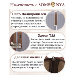 Чемодан ручной клади S SOMSONYA ELITE AT серый