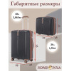 Комплект чемодан с кейсом Somsonya AT черный
