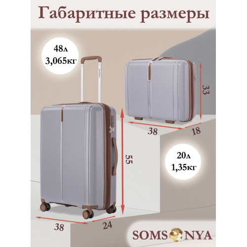 Комплект чемодан с кейсом Somsonya AT серый